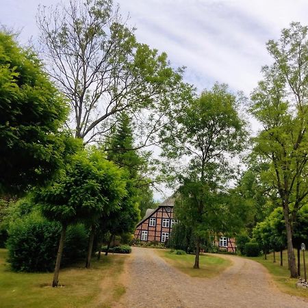 Chalet Forsthof Everstorf - Kleine Wohnung Grevesmuehlen Exteriör bild
